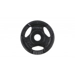 Δίσκος Μεταλλικός με Λαβές Ø29 1.25kg Pegasus Β 0106