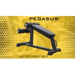 Πάγκος Κοιλιακών Pegasus® HCLT-3014 Λ 6192