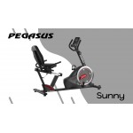 Καθιστό Ποδήλατο Γυμναστικής Pegasus® Sunny BC‑89503‑RD Π-104-RD