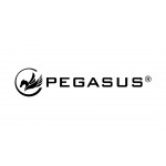 Τρίγωνος Αλτήρας Vinyl 2kg Pegasus® PG-1005 393600502