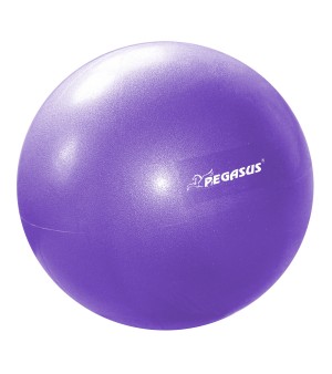 Μπάλα Γυμναστικής Pilates 25cm Μωβ Pegasus® Β 1510