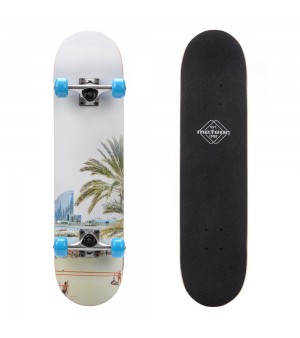Skateboard Meteor 22646
