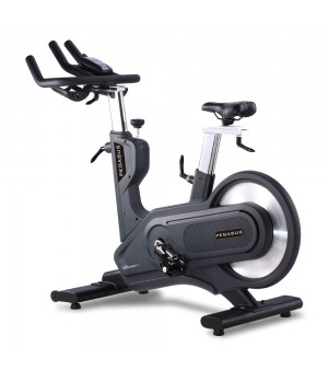 Ποδήλατο Γυμναστικής Pegasus S12 Spinning Bike Ρ-3640