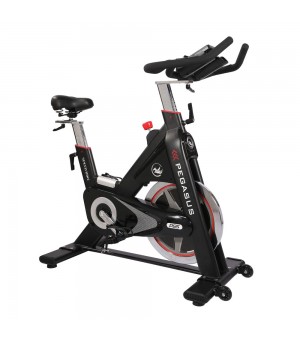 Ποδήλατο Γυμναστικής Pegasus Spin Bike PG5 391167873