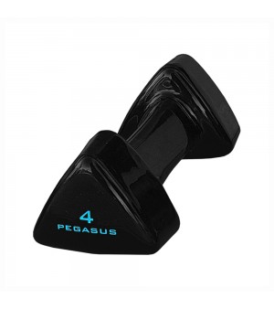 Τρίγωνος Αλτήρας Vinyl 4kg Pegasus® PG-1005 393600504
