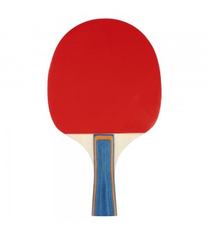 Ρακέτα Ping Pong 2 stars Avento 46TJ