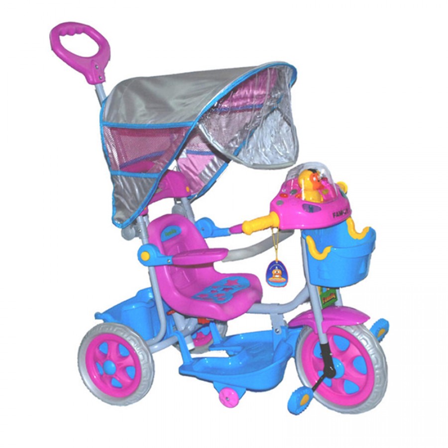 Παιδικό Τρίκυκλο Ποδήλατο Family 9686B Ροζ