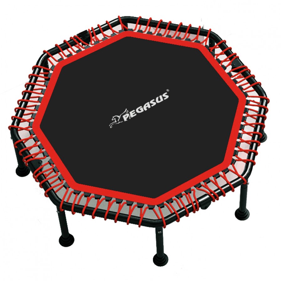 Τραμπολίνο 48'' 122cm Pegasus® Β 4503