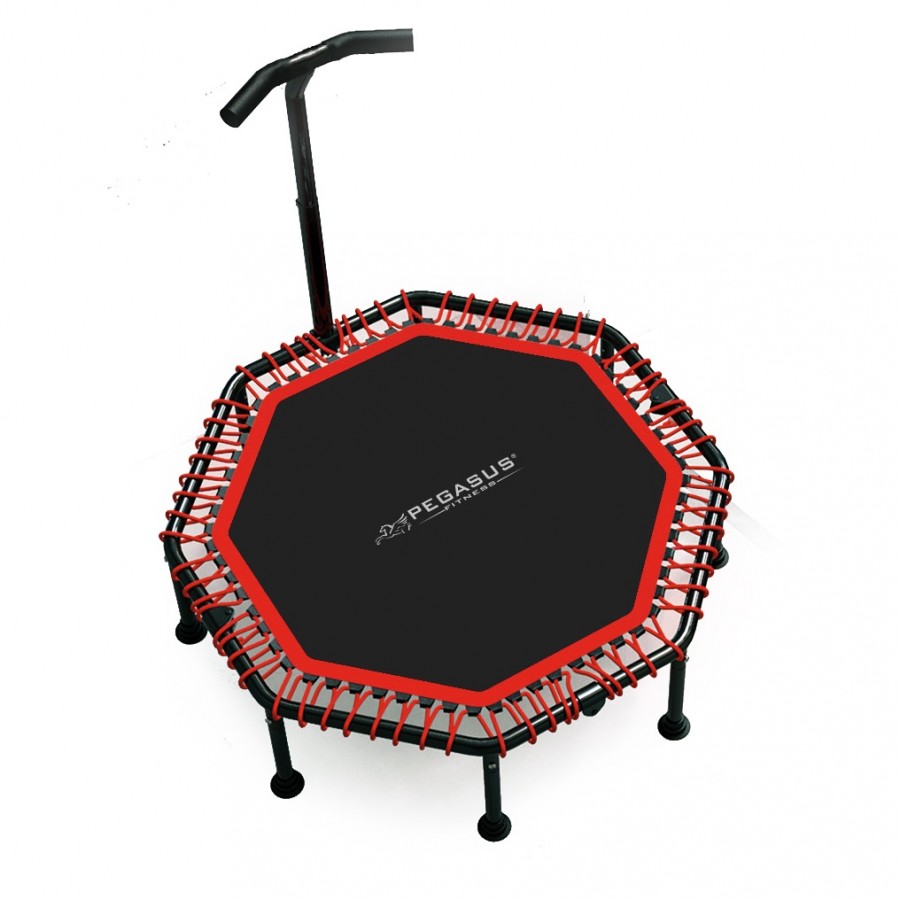 Τραμπολίνο με Λαβή 48 (122cm) Pegasus® Β 4503A