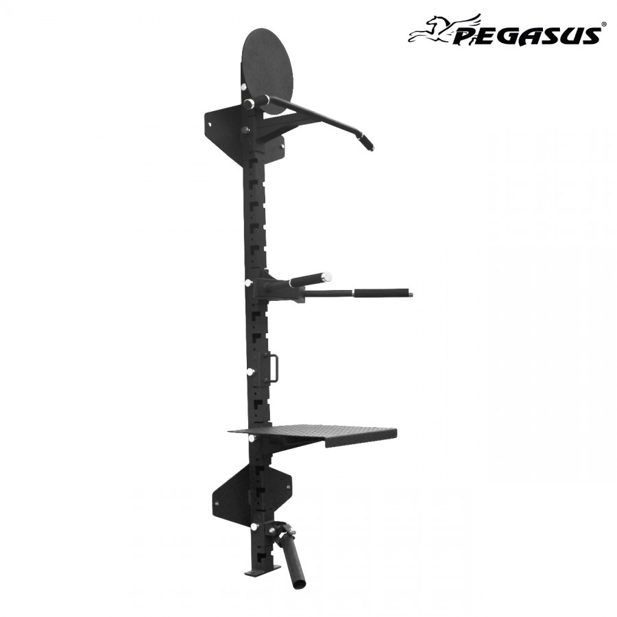 Επιτοίχιο Σύστημα CrossTraining Pegasus® Λ 582