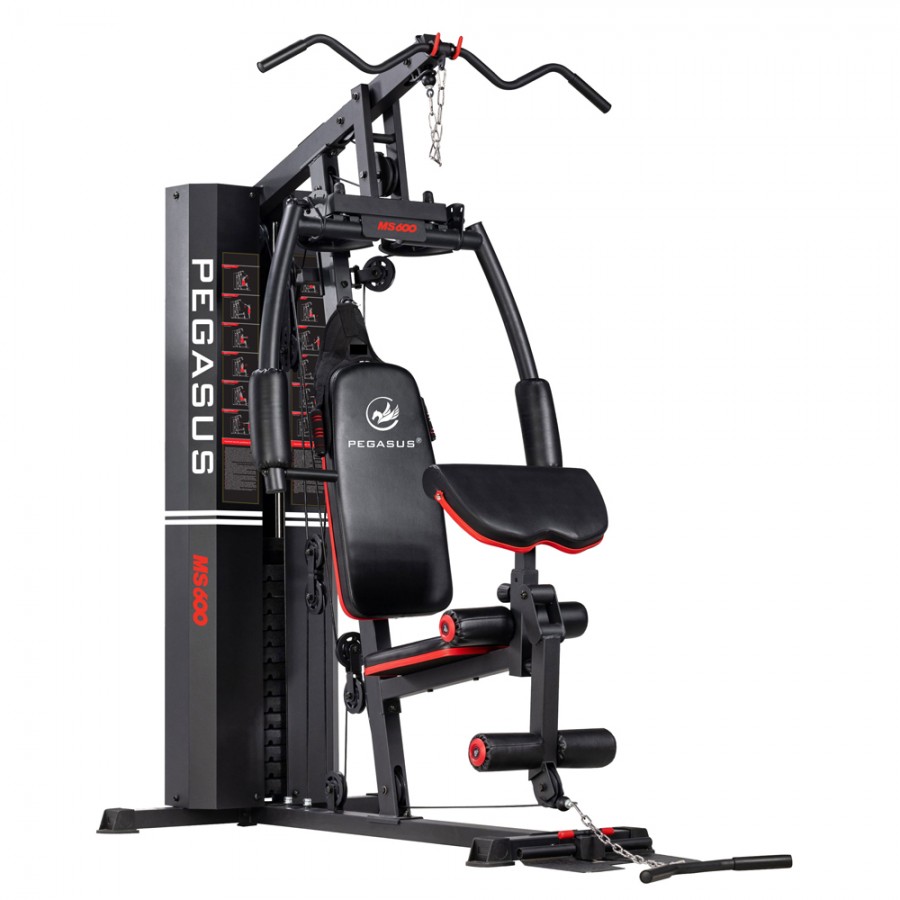 Πολυόργανο Γυμναστικής Pegasus® MS-600 Λ 5210