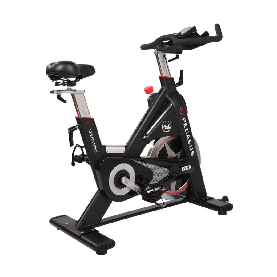 Ποδήλατο Γυμναστικής Pegasus Spin Bike 