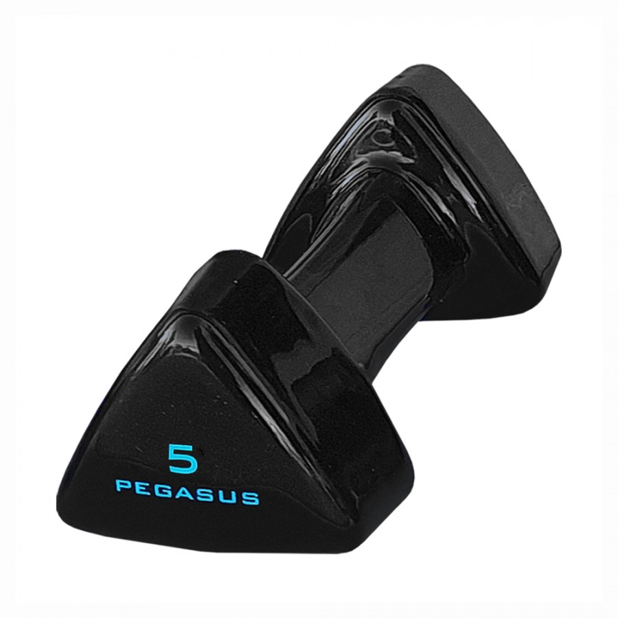 Τρίγωνος Αλτήρας Vinyl 5kg Pegasus® PG-1005 393600505