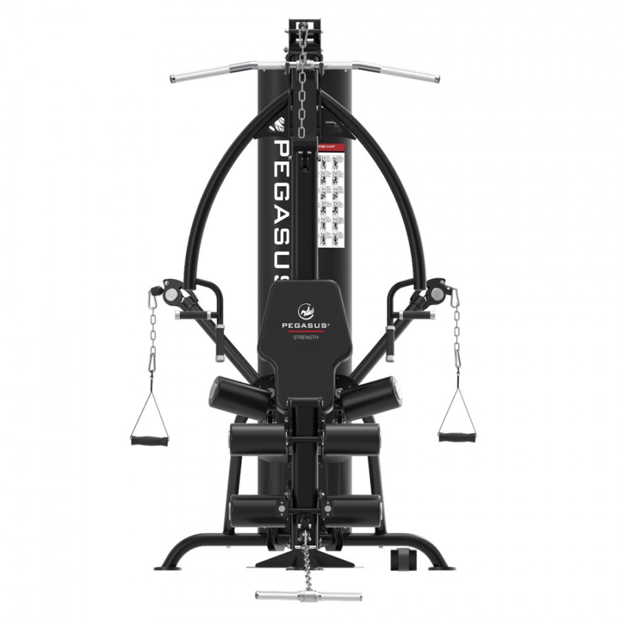 Πολυόργανο Γυμναστικής Pegasus 
