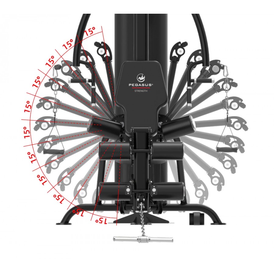 Πολυόργανο Pegasus 