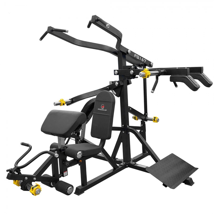 Πολυόργανο Pegasus PG-167 3 Ατόμων 396211167