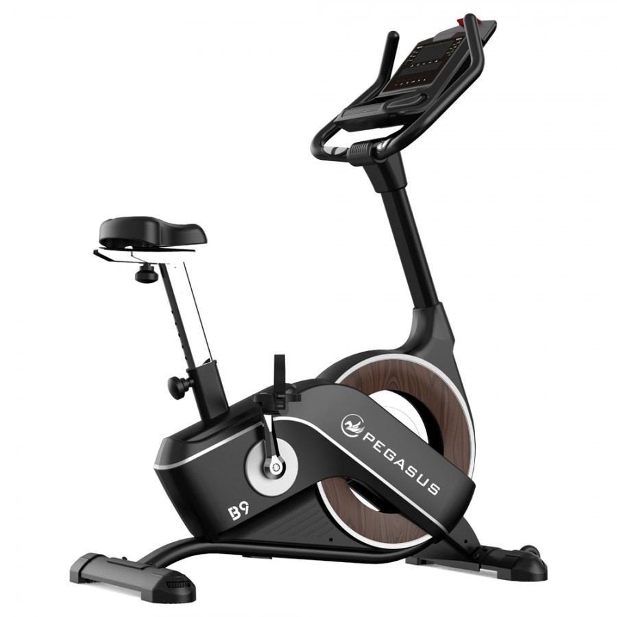 Ποδήλατο Γυμναστικής Pegasus B9 341996602