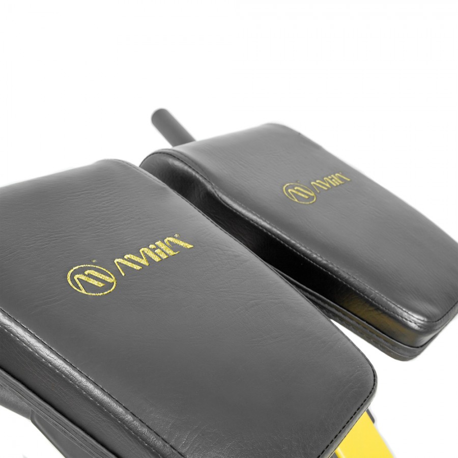 Ρυθμιζόμενος Πάγκος Ραχιαίων Amila AX1025 