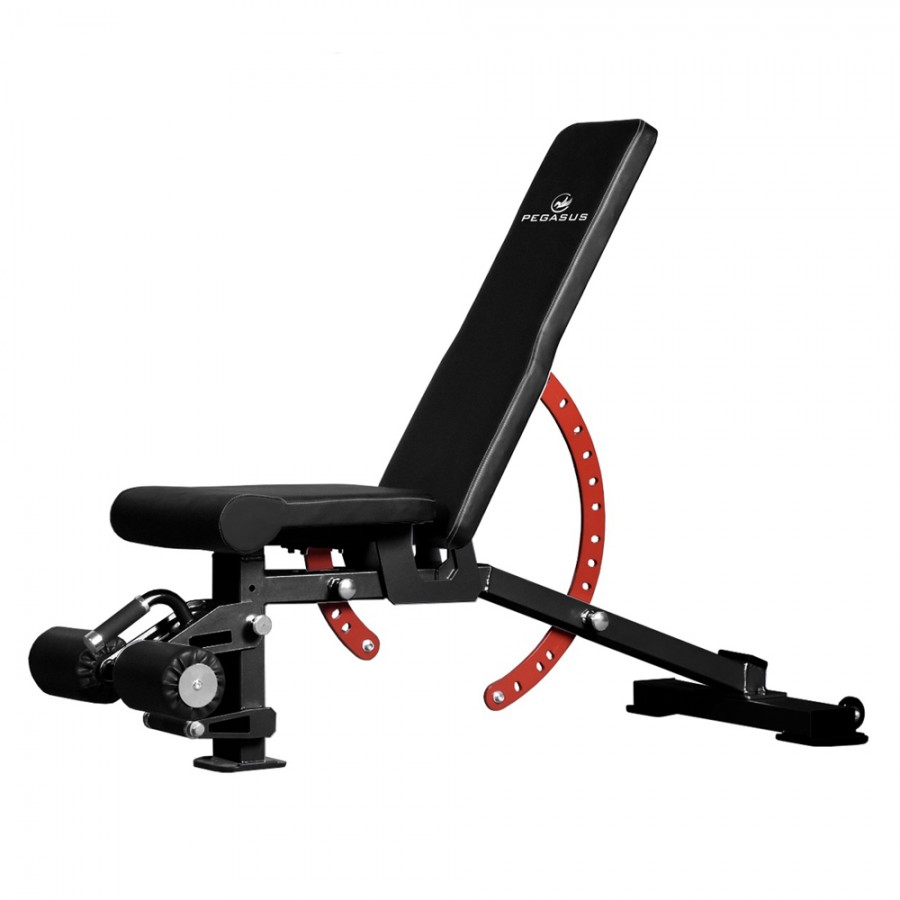 Πάγκος για Βάρη Ρυθμιζόμενος Pegasus PG-2101