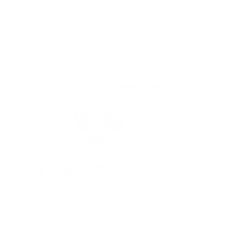 Skateboard Omni Reverse Nijdam® N31BB03