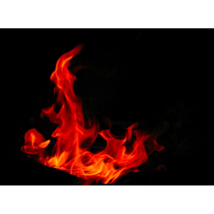 Ολυμπιακή Μπάρα Προπόνησης Cerakote 220cm LivePro Β-8085-RD