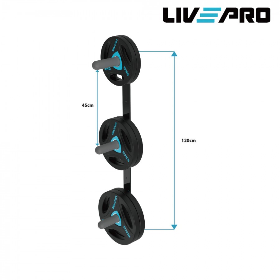 Κάθετη Επιτοίχια Βάση για Δίσκους LivePro Β 8893