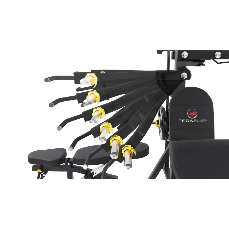 Πολυόργανο 3 Ατόμων Pegasus PG-167 396211167