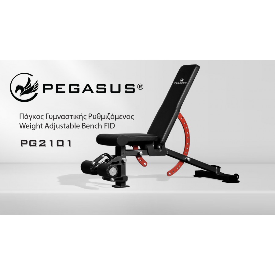 Πάγκος για Βάρη Ρυθμιζόμενος Pegasus PG-2101