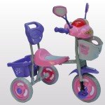 Παιδικό Τρίκυκλο Ποδήλατο 5863 Family