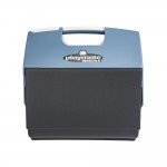 Ψυγείο Maxcold Playmate Elite 15L Igloo 41204