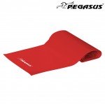 Λάστιχο Ενδυνάμωσης Κορδέλα Pegasus® Light