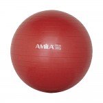 Μπάλα γυμναστικής Amila 55cm 95828