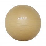 Μπάλα γυμναστικής Φ75cm Amila 48415