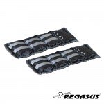 Βάρη Άκρων 2x2.0kg Pegasus® Β 2112-20