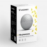 Μπάλα Pilates 65cm Μωβ Wozinsky