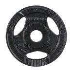 Δίσκος Μεταλλικός με Λαβές Ø29 1.25kg Pegasus Β 0106