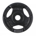 Δίσκος Μεταλλικός με Λαβές Ø29 2.5kg Pegasus Β-0106