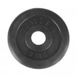 Δίσκος με Επένδυση Λάστιχου 28mm 0.50kg Amila 44431