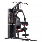 Πολυόργανο Γυμναστικής Pegasus® MS-600 Λ 5210