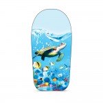 Σανίδα πλεύσης Amila 47307