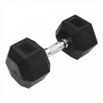 Εξάγωνος Αλτήρας με λάστιχο 20kg Pegasus B-1013