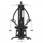 Πολυόργανο Γυμναστικής Pegasus 