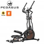 Ελλειπτικό Pegasus Ε10 