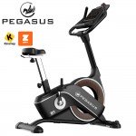 Ποδήλατο Γυμναστικής Pegasus B9 341996602