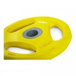 Δίσκος με Επένδυση Λάστιχου 1.25kg