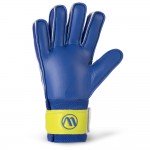 Γάντια Τερματοφύλακα Amila Catch No05