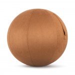 Κάλυμμα Μπάλας Γυμναστικής 75cm Καφέ Amila 96792