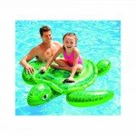 foyskoto intex lil sea turtle 57524