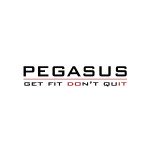 Πολυόργανο Pegasus® XT2 Functional Trainer Κλωβός All-in-One Λ 639