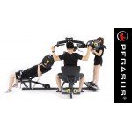 Πολυόργανο 3 Ατόμων Pegasus PG-167 396211167